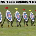Shillong Teer Common Number