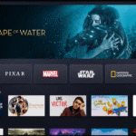 Disney Plus Subscription
