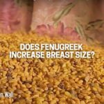 How Fenugreek Helps in Naturally Increasing Breast Size