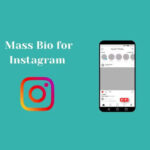 Instagram Bio Ideas to Stand Out from Crowd