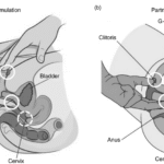 Orgasm Without Clitoral Stimulation
